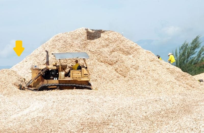 Một thứ ở VN bị bão Yagi tàn phá có thể "tái chế" thành mặt hàng tỷ đô, nên xử lý ngay để giảm thiệt hại