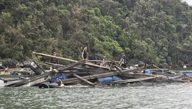 Nâng quy mô gói tín dụng ưu đãi lâm thuỷ sản lên 60.000 tỷ đồng