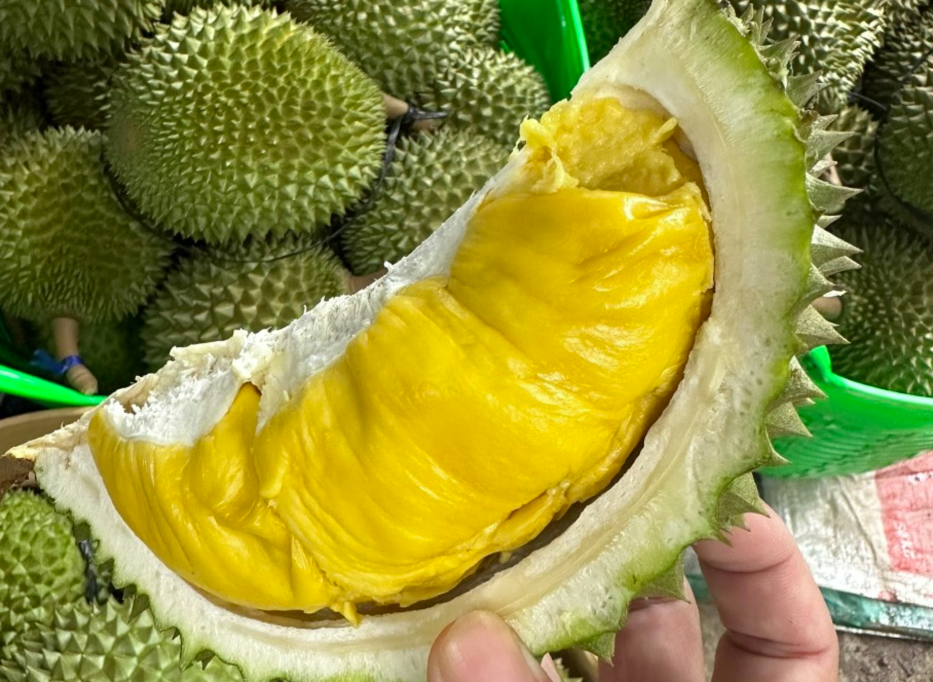 Giấc mơ sầu riêng Musang King của Malaysia có thể vỡ vụn vì 1 sai lầm