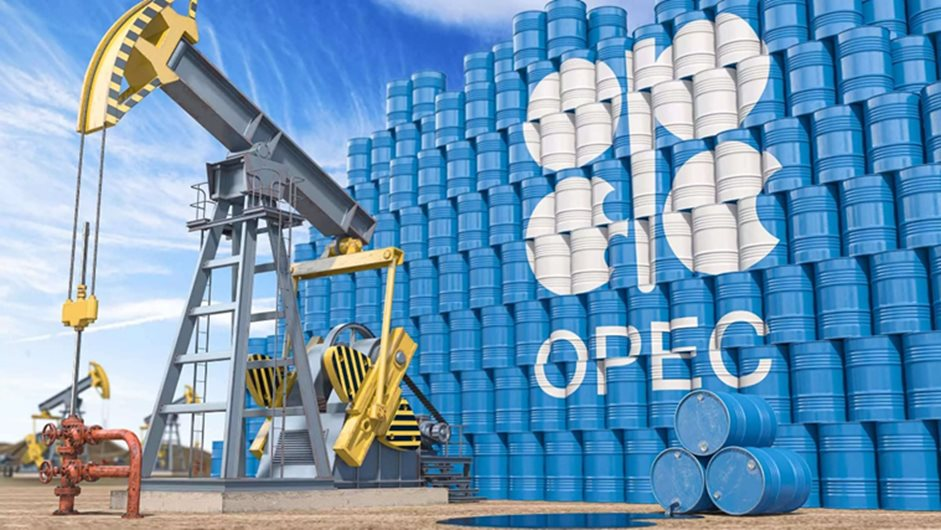 OPEC: 'loại bỏ dầu mỏ là điều viển vông'