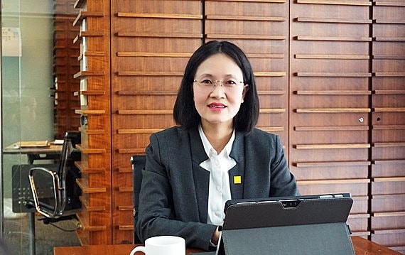 Chuyên gia Savills: Chỉ nên đánh thuế căn nhà thứ hai khi có hệ thống quản lý đất đai toàn quốc, kết nối với các địa phương 