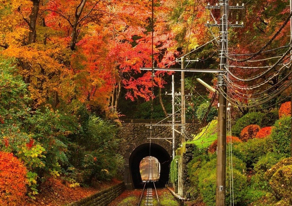 mount-takao-autumn-fall-takaos-9173-8570-1727195289.jpg