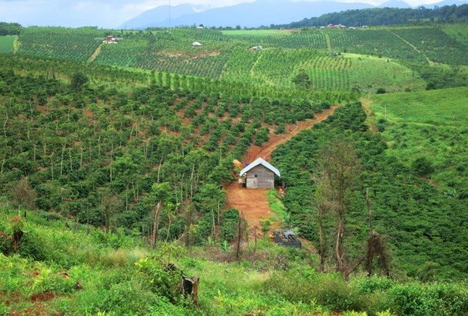 Chuyển mục đích sử dụng hơn 18ha đất rừng tại Hòa Bình để làm khu công nghiệp gần 2.000 tỷ đồng