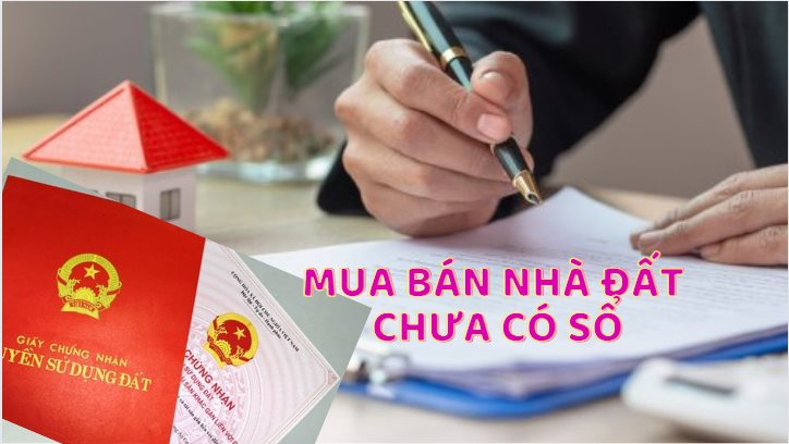 Từ ngày 4/10, bán đất không sổ đỏ bị phạt tới 100 triệu đồng