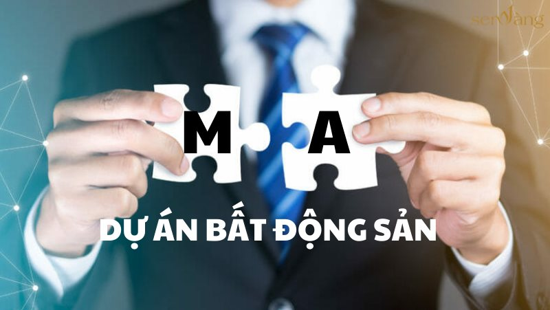 M&A bất động sản sôi động trở lại, có 11 thương vụ đáng chú ý trong 9 tháng đầu năm 2024