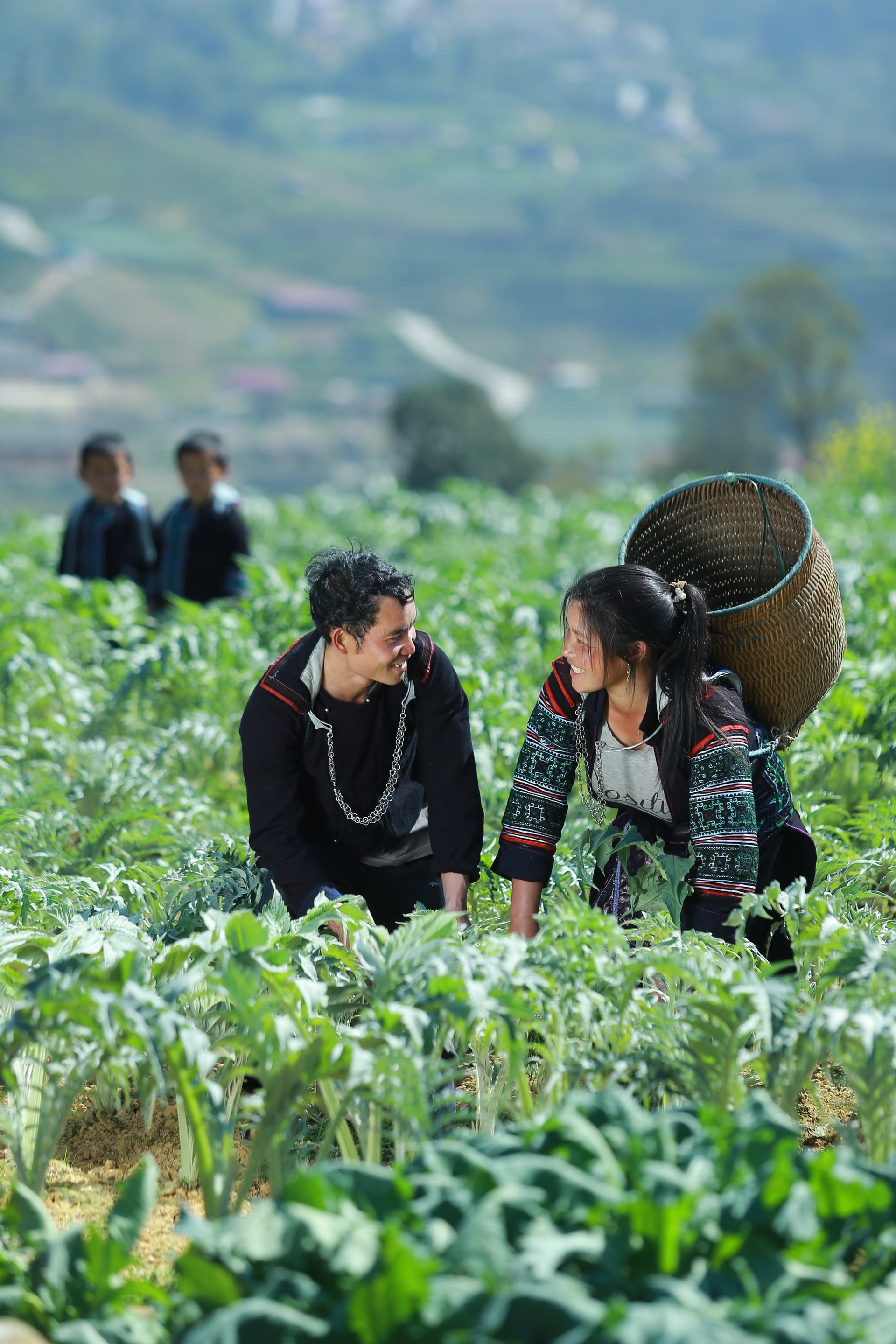 Giúp người dân khai thác “kho báu cỏ cây, một DN chinh phục thành công thị trường 7 tỷ USD ở Việt Nam