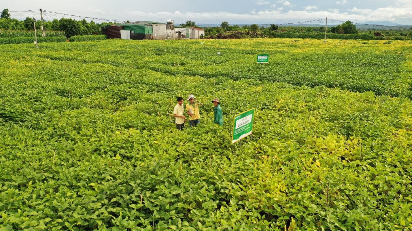 Ôm núi tiền gửi ngân hàng, một doanh nghiệp ung dung thu lời "khủng" mỗi ngày