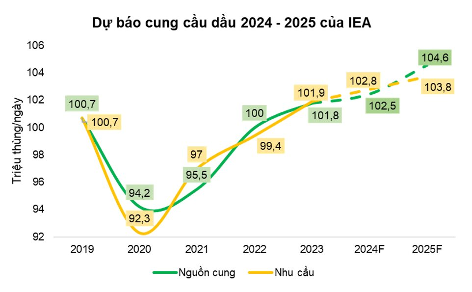 cung-dau.png