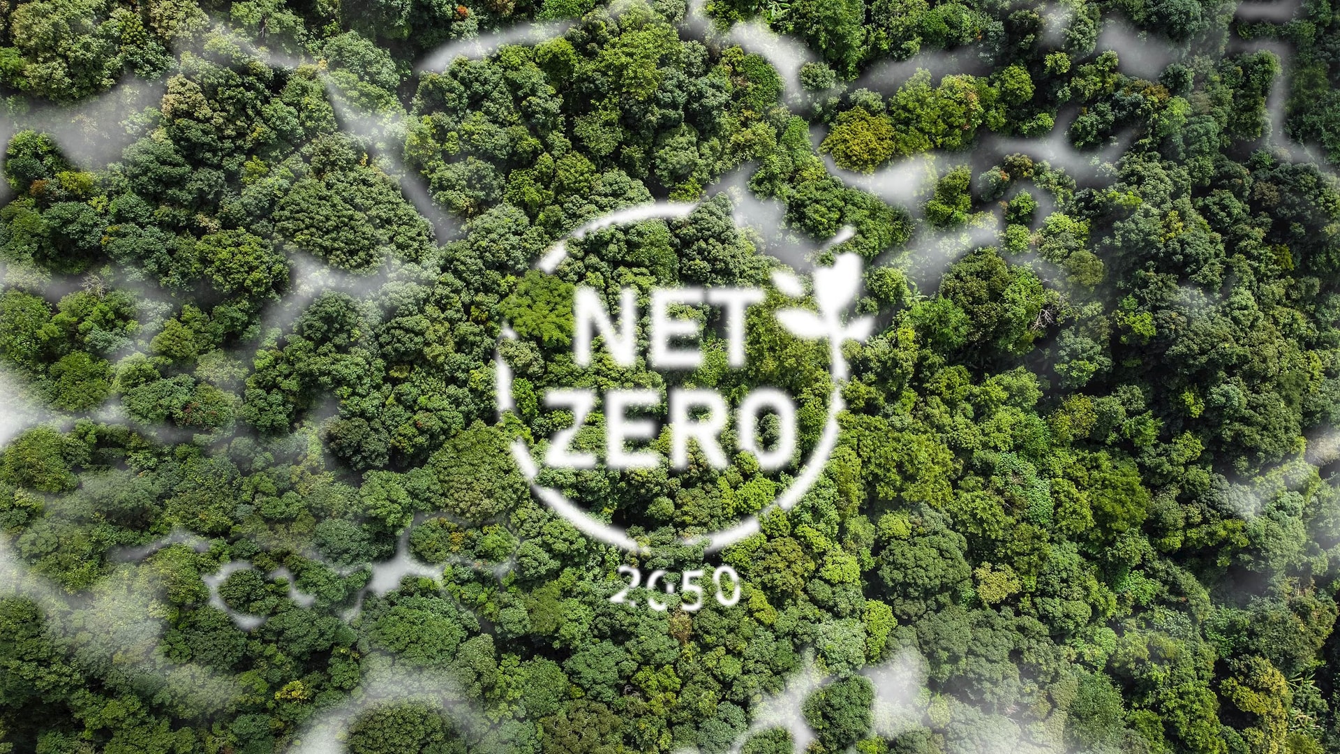 net-zero-min.jpg