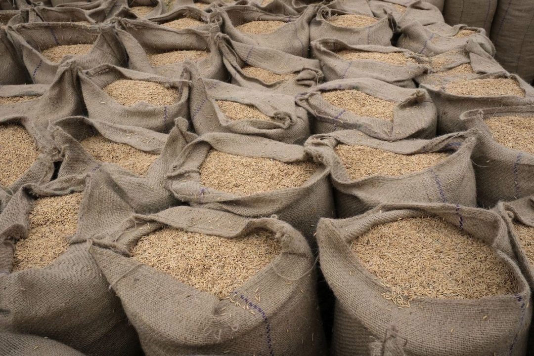 india-rice-exports-bloomberg-1720663428841.jpg