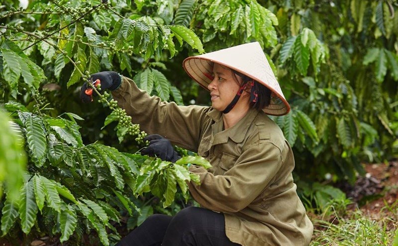 Tiên phong thực hành ESG, Nestlé Việt Nam lan tỏa thông lệ tốt về thúc đẩy bình đẳng giới