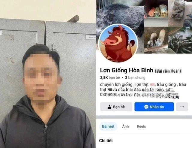 Bắt tạm giam chủ tài khoản Facebook ‘Lợn Giống Hòa Bình’