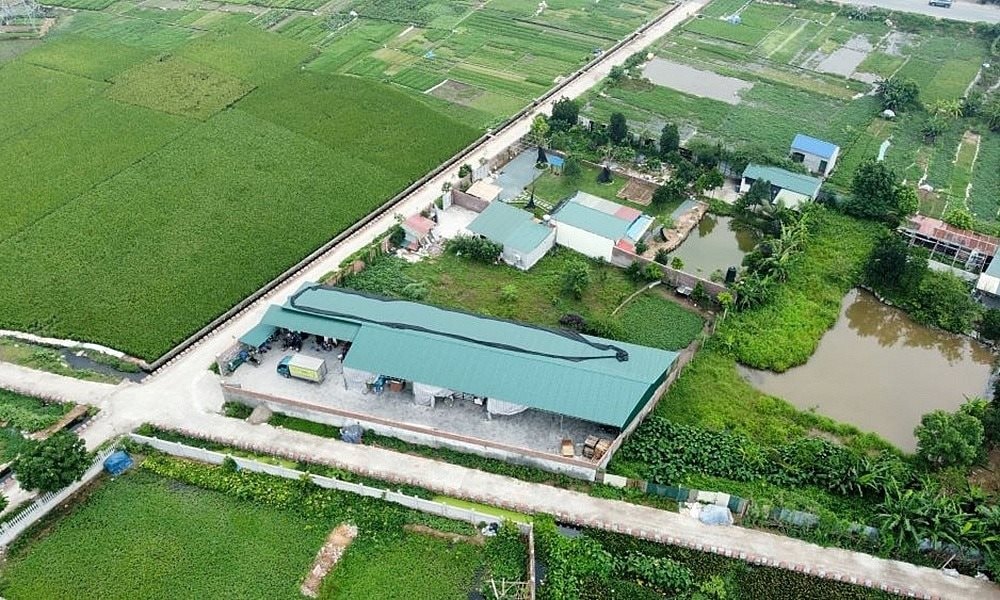 Quy định mới chuyển đất nông nghiệp sang đất thổ cư 2025, người dân cần nắm rõ 