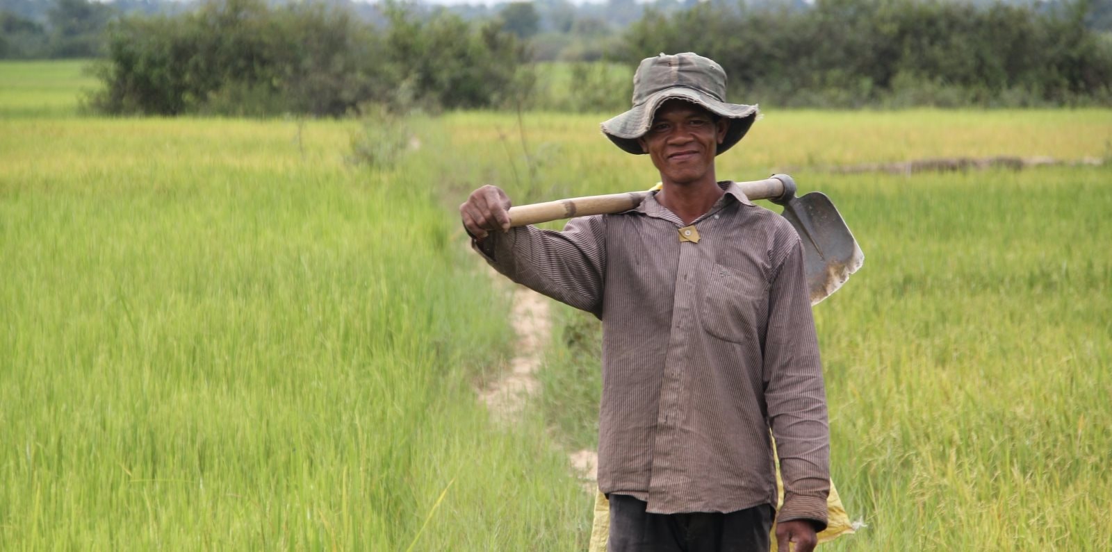 cambodia-rice-hero.jpg