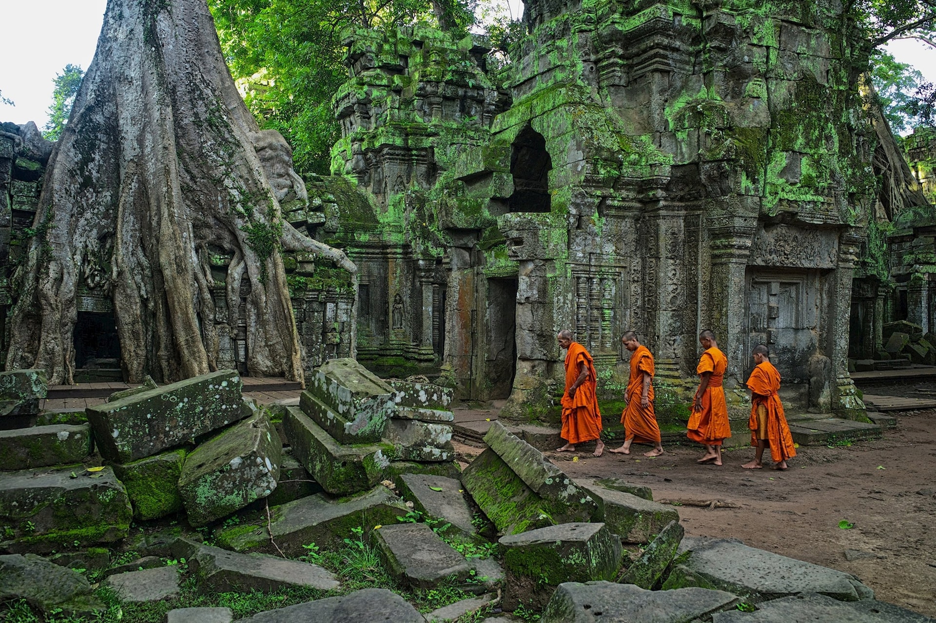 ta-prohm-siem-reap-cambodia.jpg