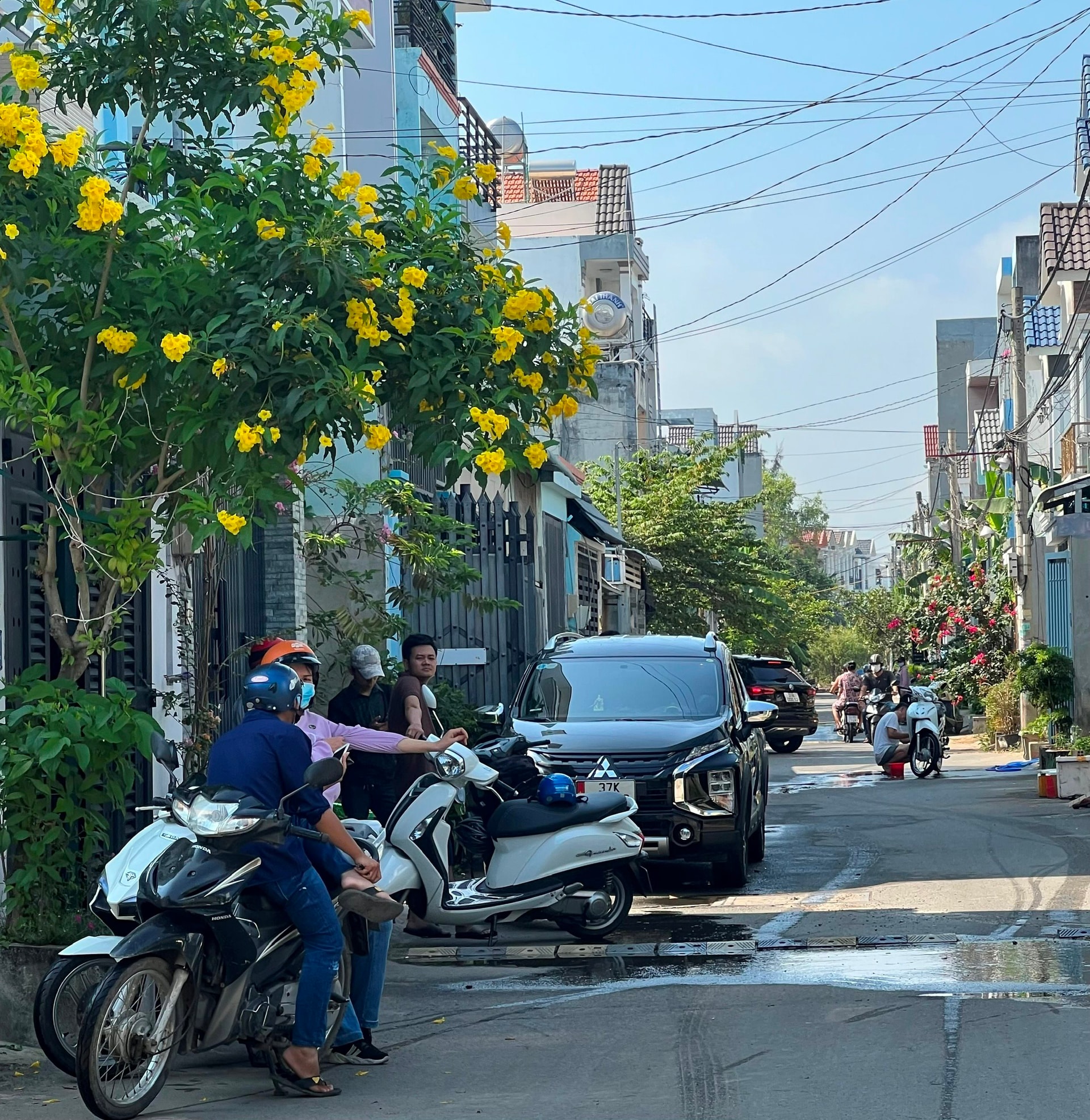 “Đất nền sẽ tăng giá mạnh sau Tết nguyên đán”