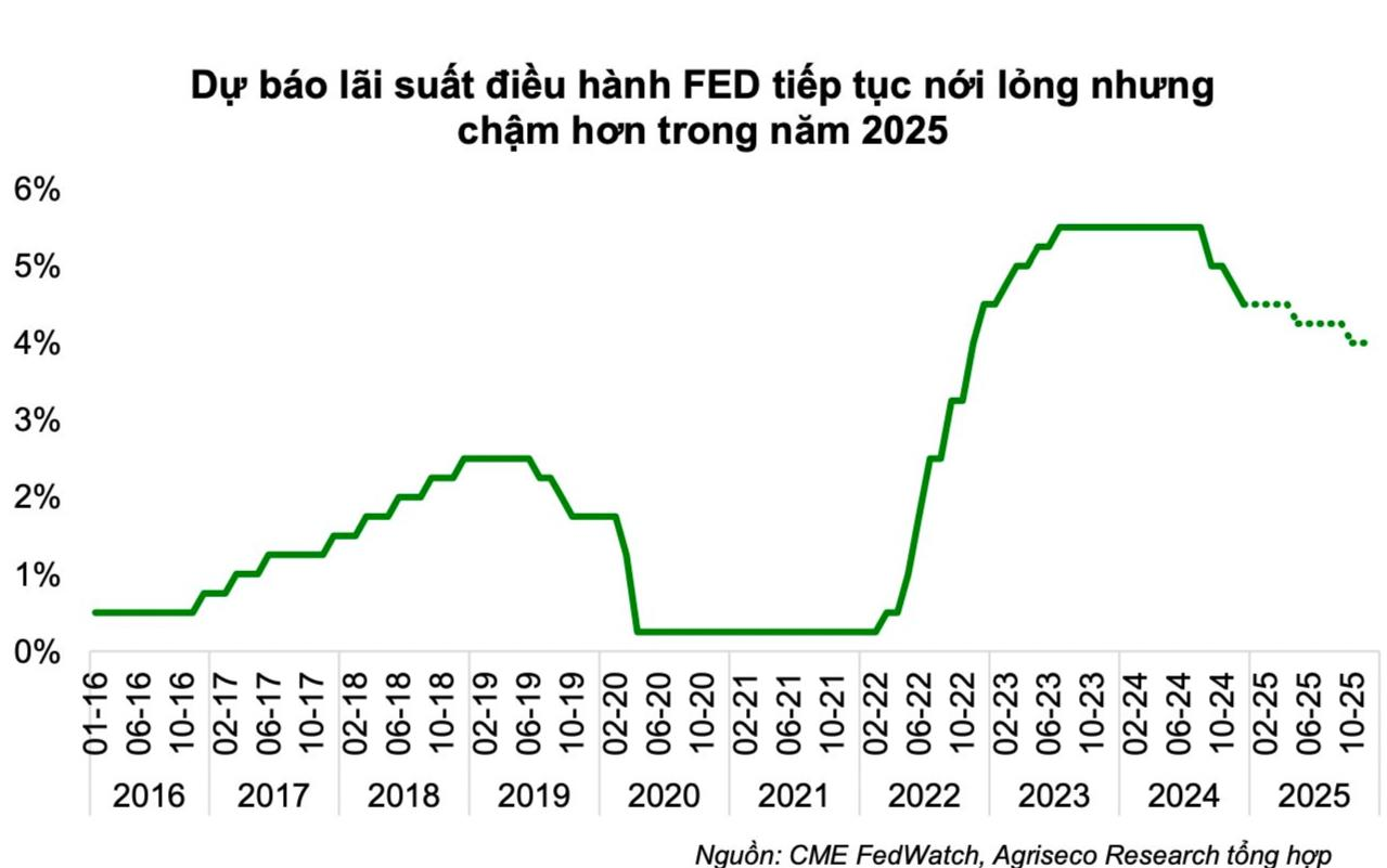 anh-chup-man-hinh-2025-01-24-luc-21.31.18(1).png