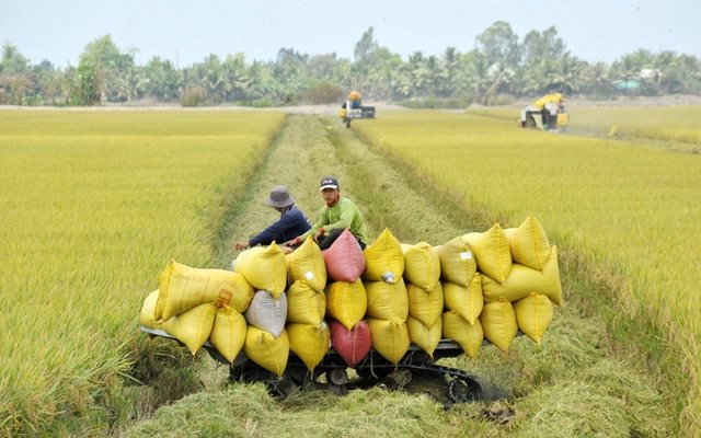 viet-nam-se-dam-bao-xuat-khau-hon-8-trieu-tan-gao-trong-nam-2024-17147117444141429545477.png