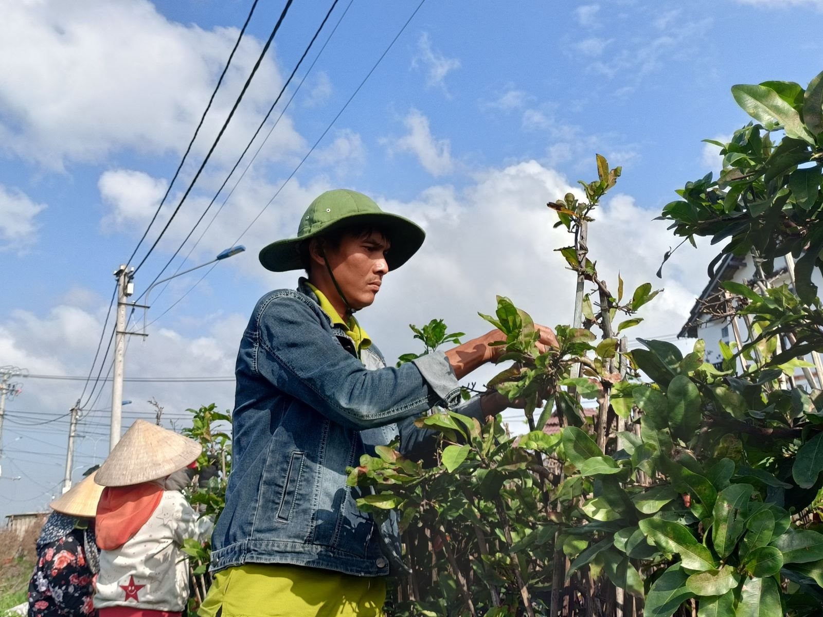 Bán đặc sản Tết miền Nam, người dân một thị xã thu hơn 155 tỷ đồng