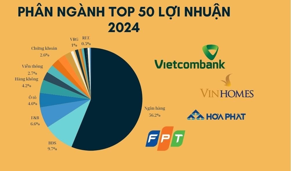 Top 50 lợi nhuận 2024 vẫn là cuộc áp đảo của ngân hàng và BĐS, BSR, KBC, HAG, NVL 'biến mất' trong khi 2 công ty họ GELEX trỗi dậy