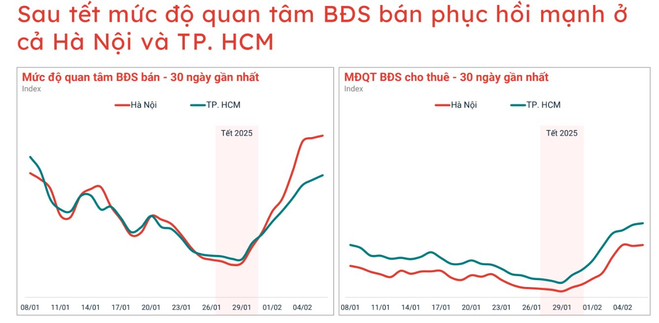 bds-sau-tet.png