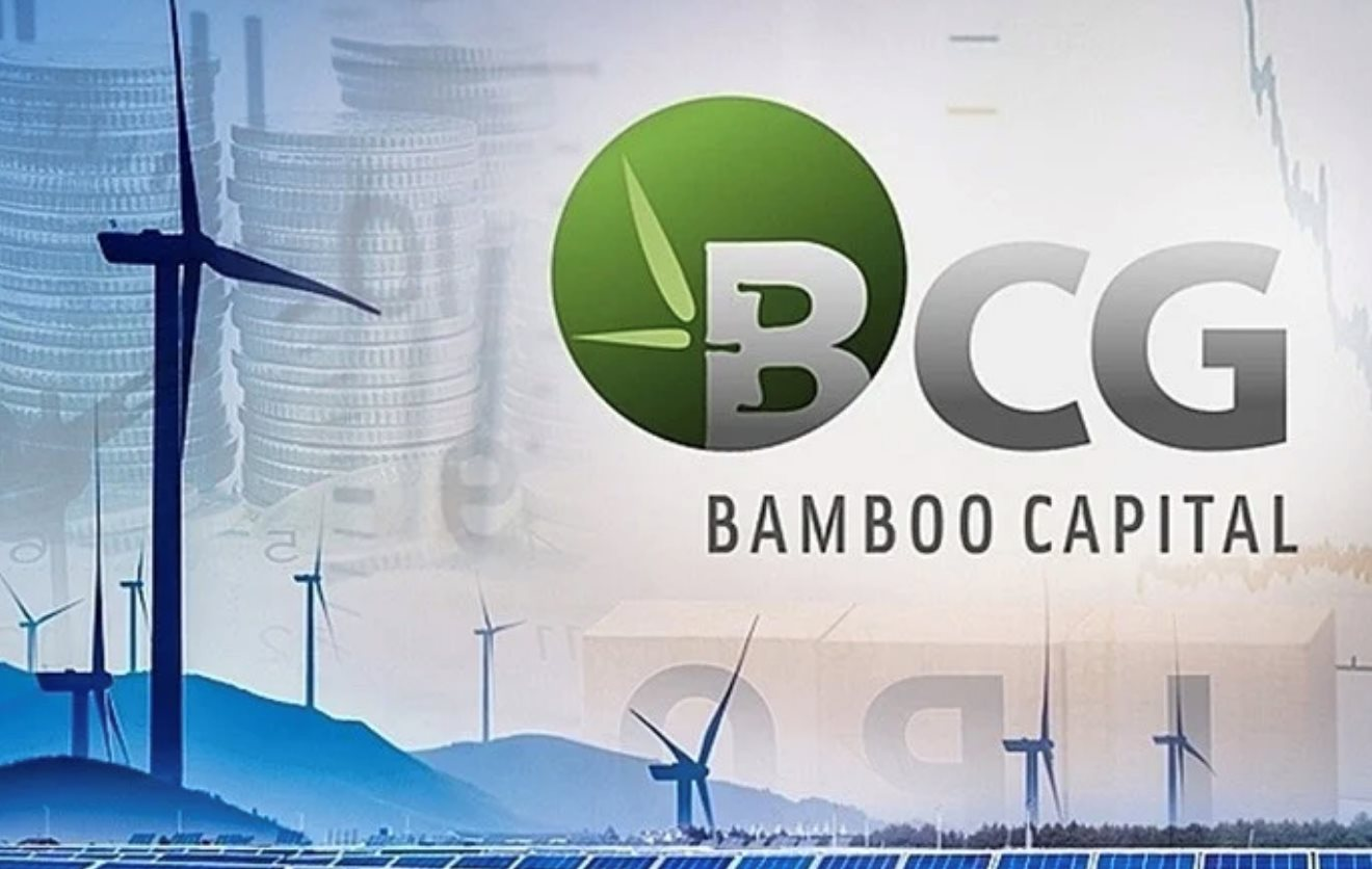 Loạt cổ phiếu “họ” Bamboo Capital thanh khoản đột biến, giảm mạnh sau tin 2 lô trái phiếu bị tạm ngưng giao dịch