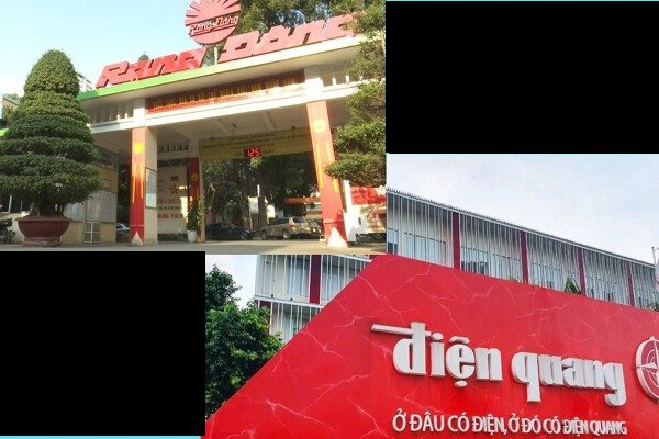 2 công ty tên tuổi Điện Quang, Nhựa Rạng Đông do các em cựu thứ trưởng Hồ Thị Kim Thoa dẫn dắt đồng loạt báo lỗ cả trăm tỷ: Điều gì đang xảy ra?