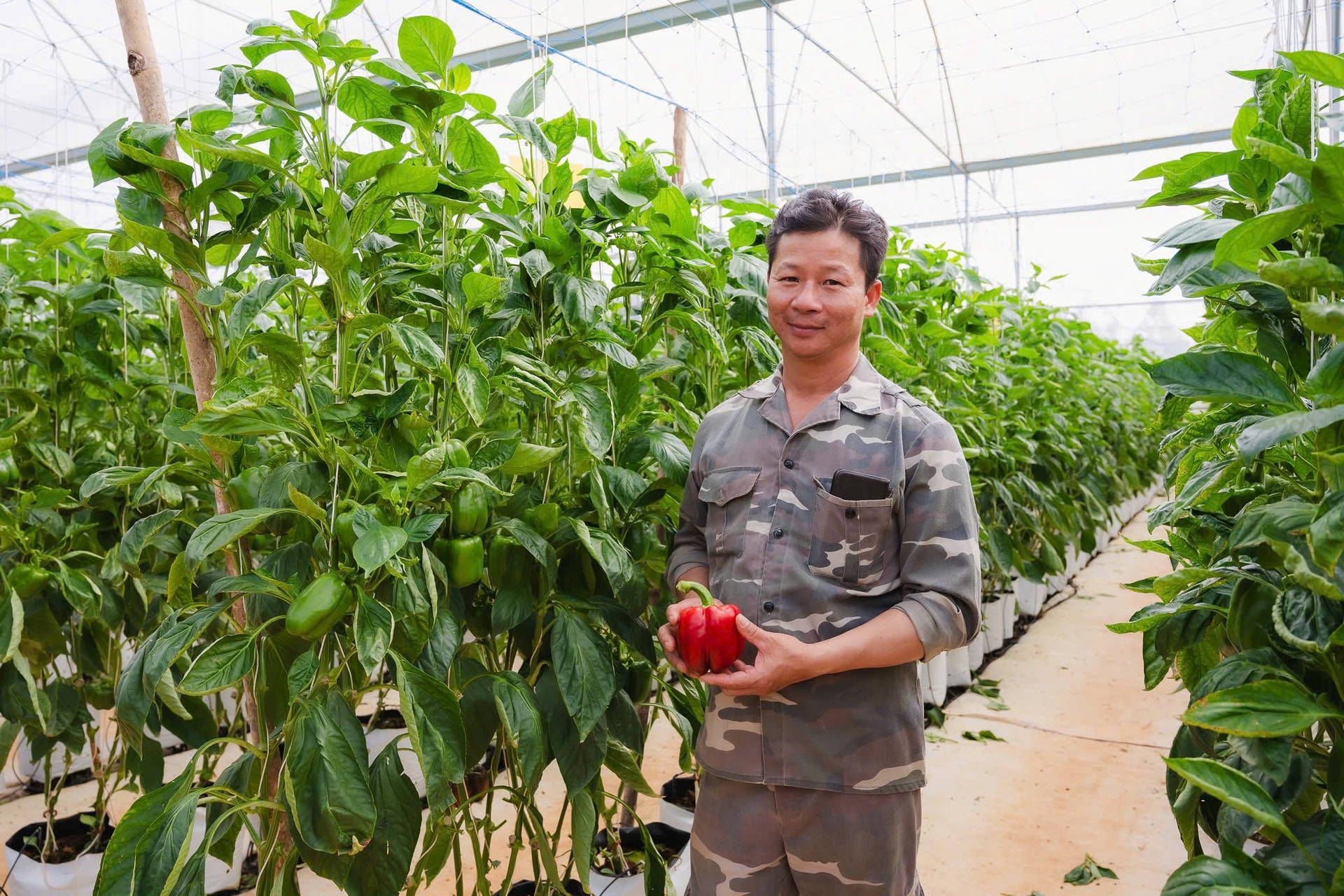 Chuyện Phó GĐ ca trực Nhà máy mỏ Quảng Ninh tha hương cầu thực, làm nên “cơ ngơi” khoai tây, chuối, cà chua… kiếm tiền tỷ