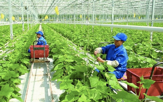 ADB chi 40 tỷ USD hỗ trợ an ninh lương thực giai đoạn 2022 - 2030
