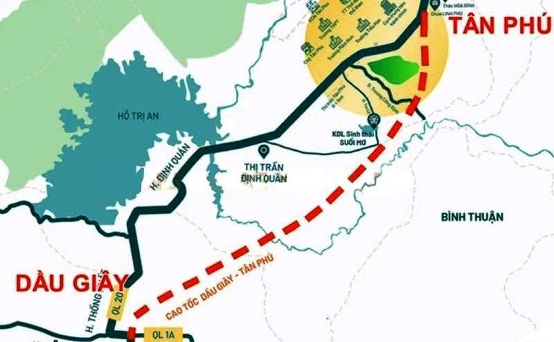 cao-toc-dau-giay.jpg