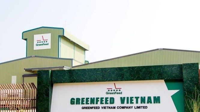 GreenFeed Việt Nam báo lãi kỷ lục hơn 2.100 tỷ đồng