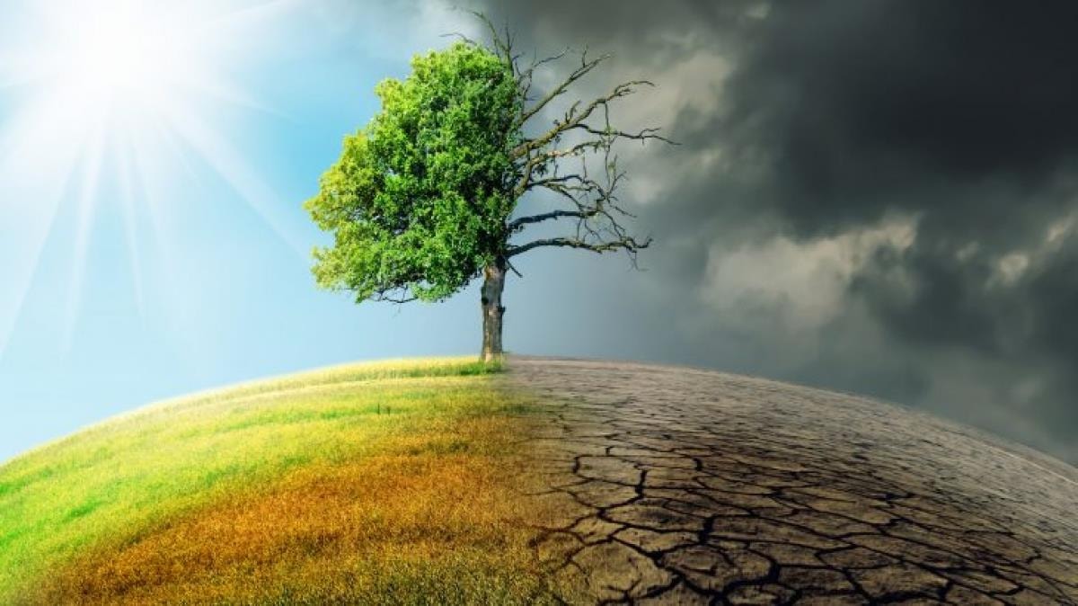 Loạt định chế tài chính rút khỏi cam kết Net Zero: Doanh nghiệp Việt nhìn gì từ động thái của thế giới?