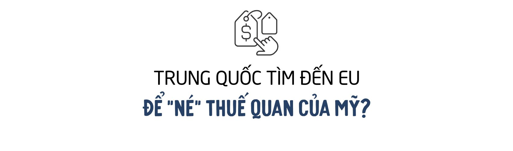 tr1.png