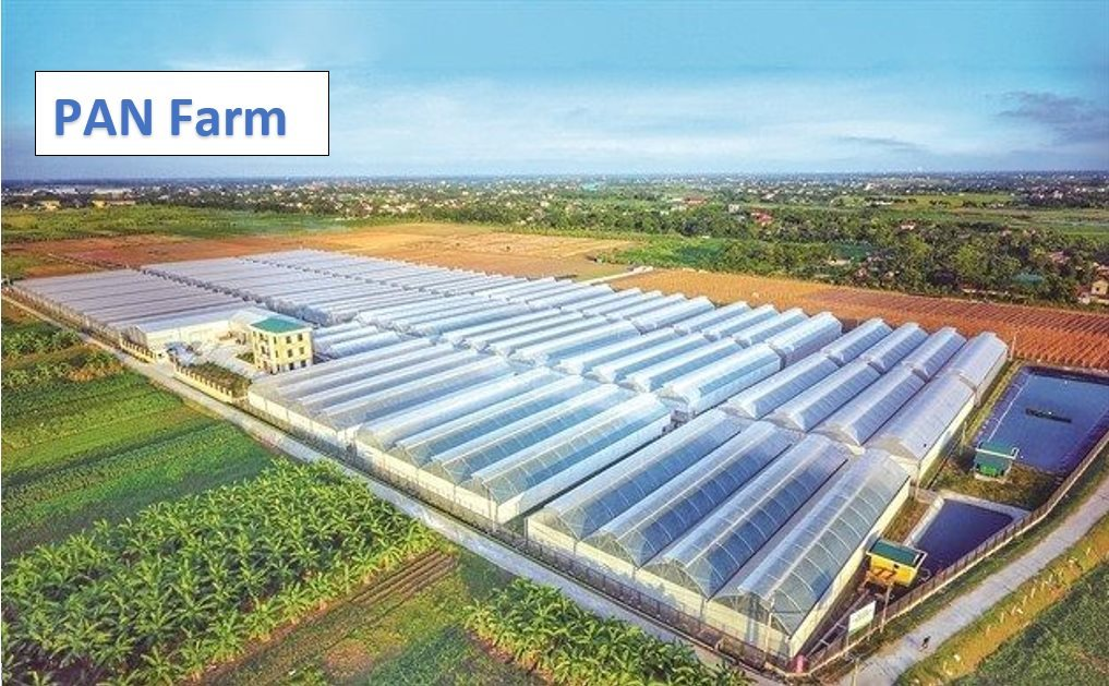 PAN Farm báo lãi ròng hơn 1,6 tỷ đồng mỗi ngày