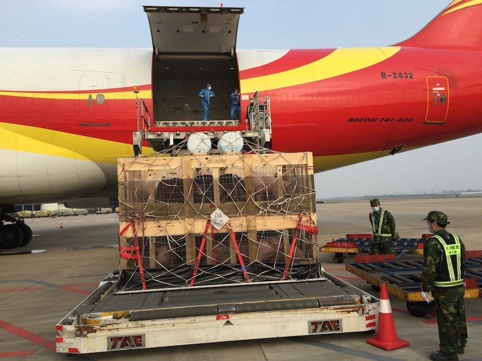 Một ngành kinh doanh tỷ USD của Mỹ nếm ‘trái đắng’ thương chiến: Xuất khẩu sang Trung Quốc ‘đóng băng’, đơn hàng bị hủy hàng loạt, nguy cơ mất thị phần vào tay đối thủ 