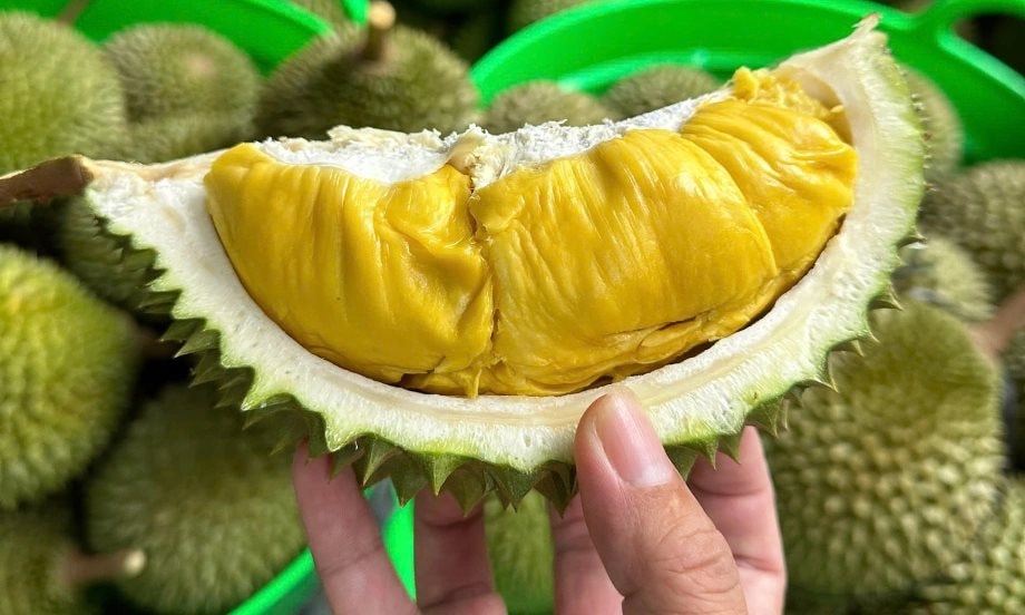 sau-rieng-vn-.jpg