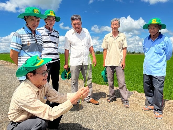 DN phân bón khuyên người dân bón ít phân hơn và một con đường để tiếp cận thị trường 12.000 tỷ USD
