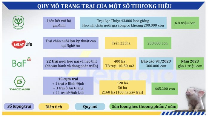 anh-chup-man-hinh-2024-05-30-luc-144913-20240530144926967.png