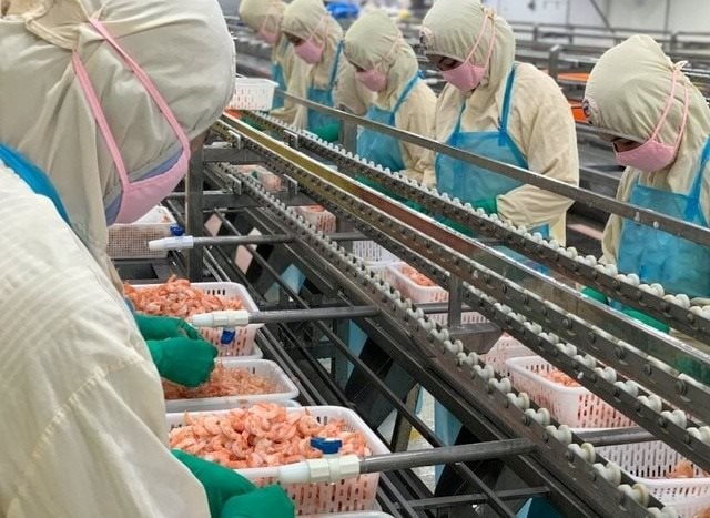 Doanh nghiệp xuất khẩu tôm lớn nhất nhì Việt Nam bị áp thuế cao bất thường tới 35,29% từ Mỹ