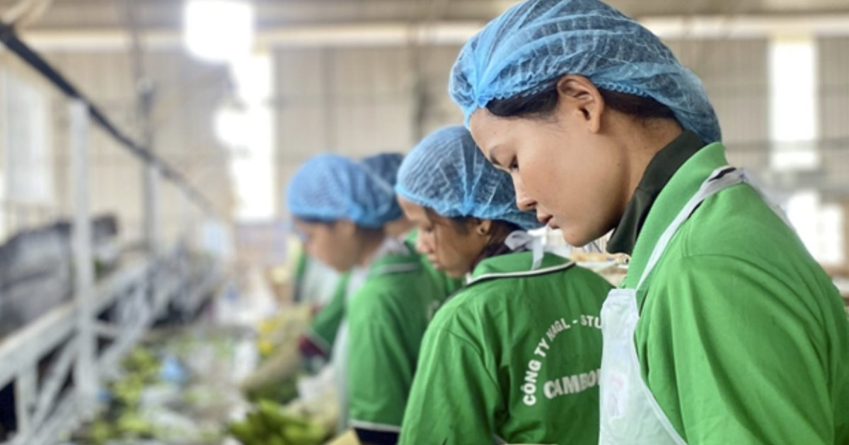 Lời than của bầu Đức "Tìm sếp nông trường còn khó hơn sếp ngân hàng" hé lộ "cơn khát" nhân tài nông nghiệp