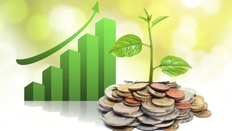 Lịch chốt quyền cổ tức 16/6-20/6: Cổ tức tiền mặt cao nhất 30%