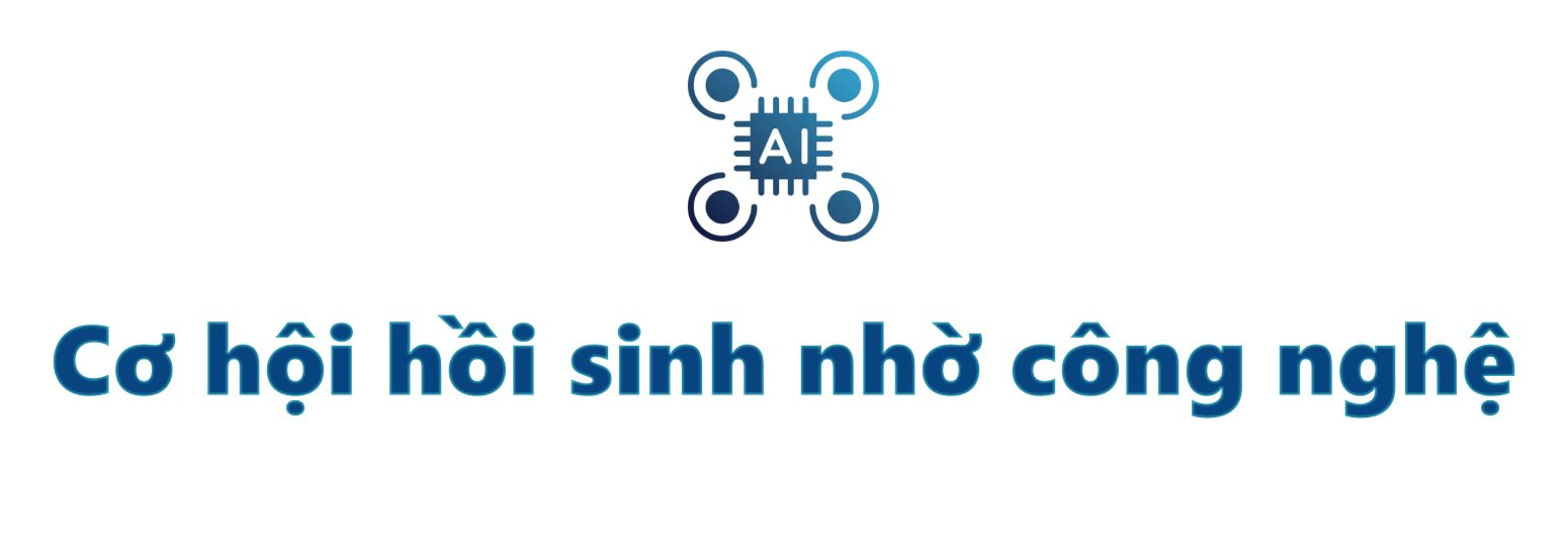 rege4.png