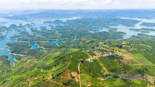 tinh-lam-dong-m.png