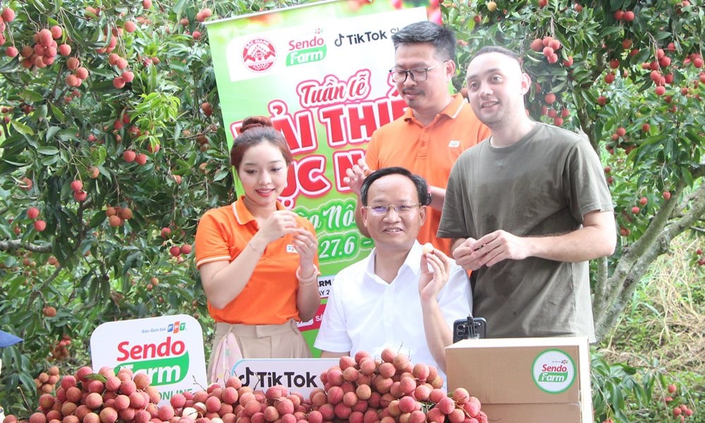 Phó Chủ tịch tỉnh Bắc Giang xuống vườn livestream bán vải: Chốt đơn hàng chục tấn chỉ trong một buổi sáng