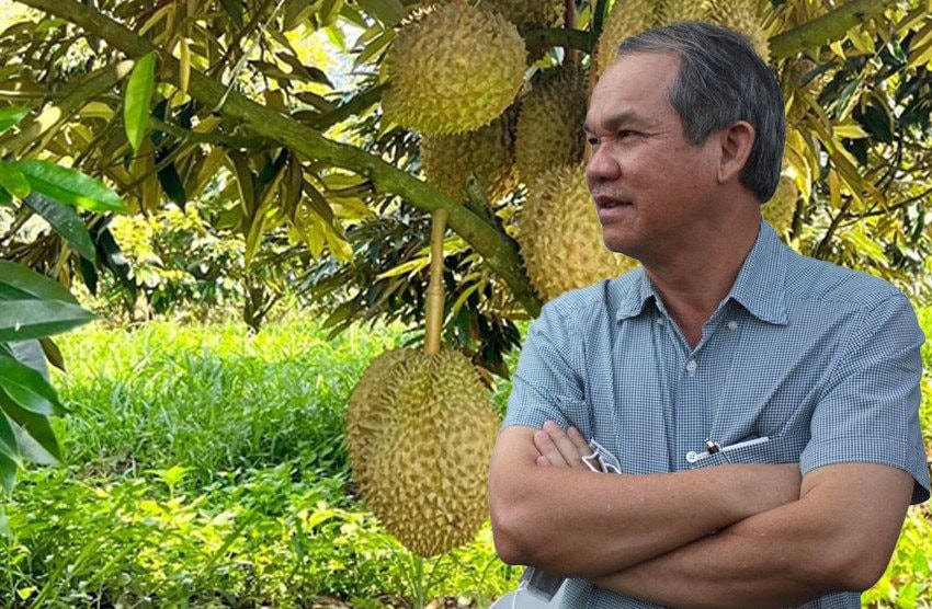 Giá sầu riêng thấp kỷ lục, nhớ lại lời bầu Đức: Ngay cả khi bán sầu riêng với giá 20.000 đồng/kg vẫn có lãi