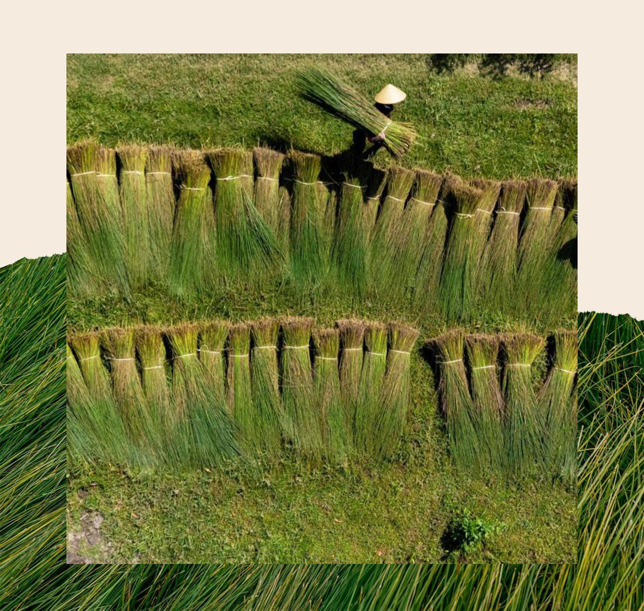 a1(1).png