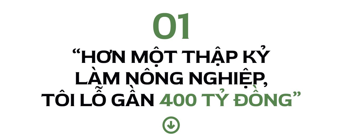 t1.png