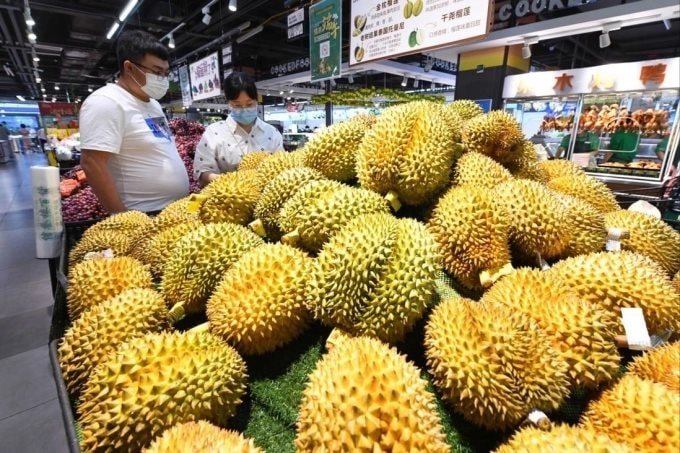 sau-rieng-tq.jpg