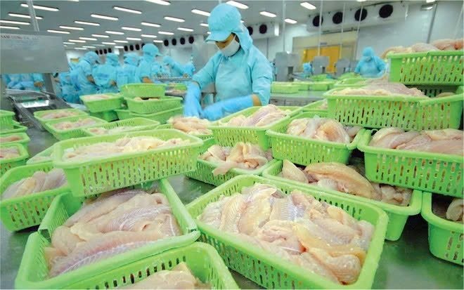 Vua xuất khẩu cá tra Nam Việt báo lãi quý 2/2025 tăng chưa từng thấy, cao nhất trong 8 năm