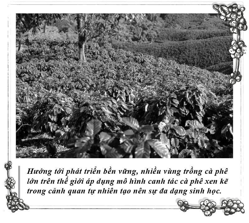 ky-112-hinh-3.jpg